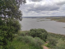 Flora del Cerro Masatrigo